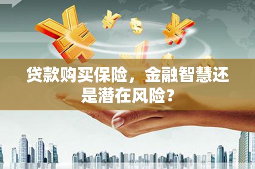 峨眉贷款购买保险，金融智慧还是潜在风险？