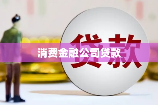 峨眉消费金融公司贷款