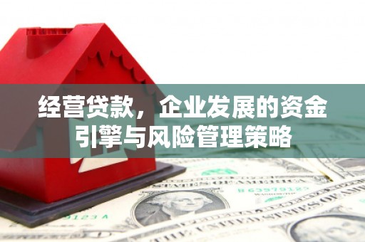 峨眉经营贷款，企业发展的资金引擎与风险管理策略