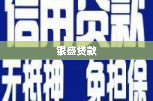 峨眉银盛贷款