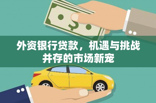 峨眉外资银行贷款，机遇与挑战并存的市场新宠