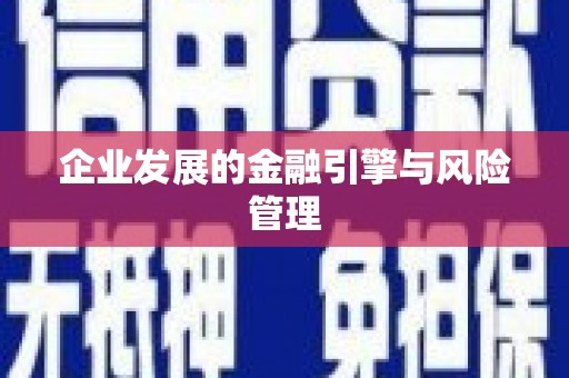 峨眉企业发展的金融引擎与风险管理