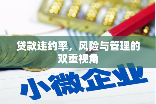 峨眉贷款违约率，风险与管理的双重视角