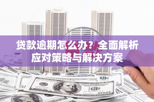 峨眉贷款逾期怎么办？全面解析应对策略与解决方案