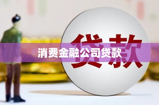 峨眉消费金融公司贷款