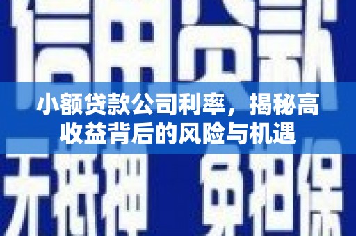 峨眉小额贷款公司利率，揭秘高收益背后的风险与机遇