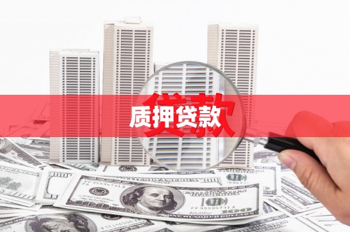 峨眉质押贷款