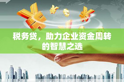 峨眉税务贷，助力企业资金周转的智慧之选