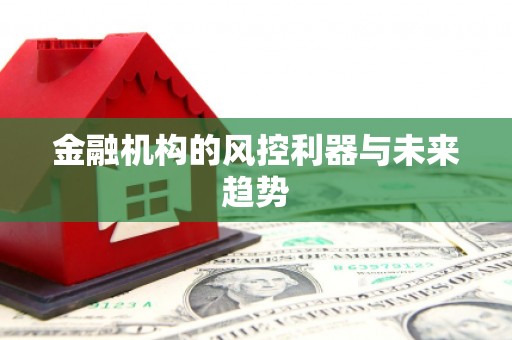 峨眉金融机构的风控利器与未来趋势