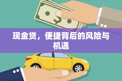 峨眉现金贷，便捷背后的风险与机遇