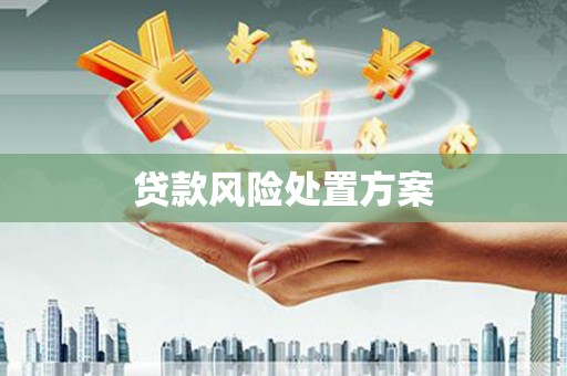 峨眉贷款风险处置方案