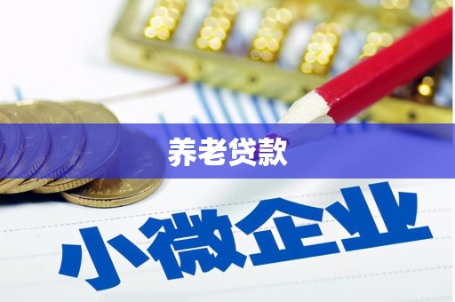 峨眉养老贷款