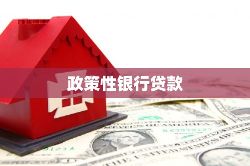 峨眉政策性银行贷款