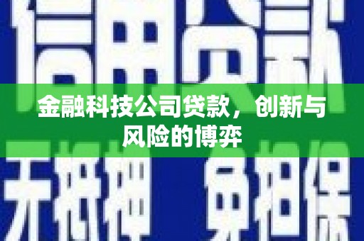 峨眉金融科技公司贷款，创新与风险的博弈