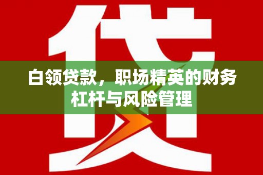 峨眉白领贷款，职场精英的财务杠杆与风险管理