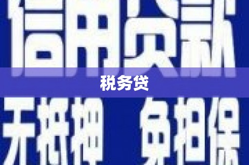 峨眉税务贷