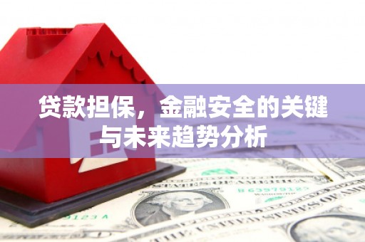 峨眉贷款担保，金融安全的关键与未来趋势分析