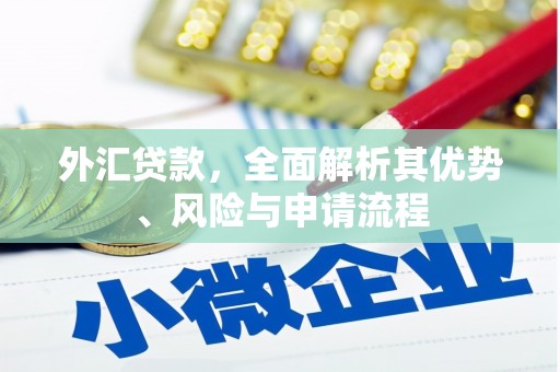 峨眉外汇贷款，全面解析其优势、风险与申请流程