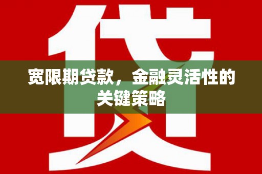 峨眉宽限期贷款，金融灵活性的关键策略