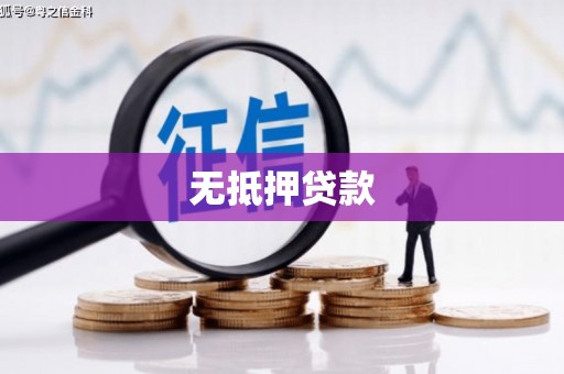 峨眉无抵押贷款