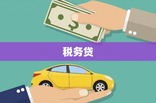 峨眉税务贷