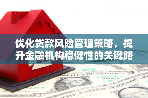 峨眉优化贷款风险管理策略，提升金融机构稳健性的关键路径
