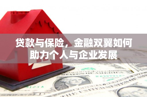 峨眉贷款与保险，金融双翼如何助力个人与企业发展