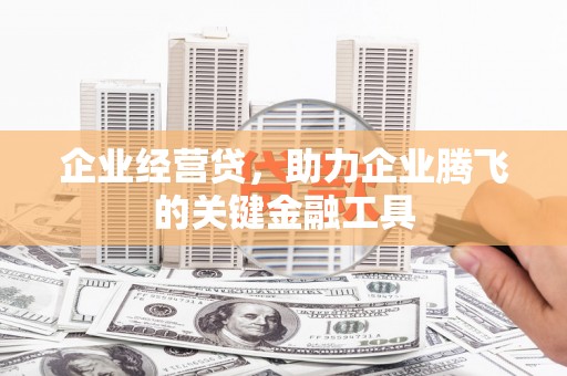 峨眉企业经营贷，助力企业腾飞的关键金融工具