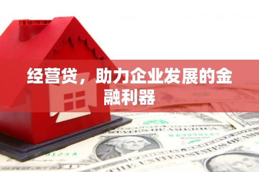 峨眉经营贷，助力企业发展的金融利器