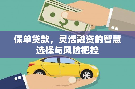 峨眉保单贷款，灵活融资的智慧选择与风险把控