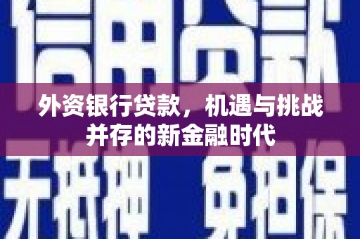 峨眉外资银行贷款，机遇与挑战并存的新金融时代