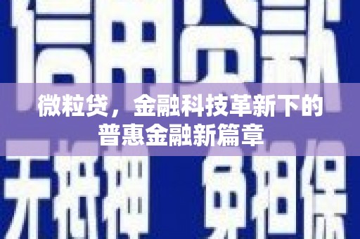 峨眉微粒贷，金融科技革新下的普惠金融新篇章