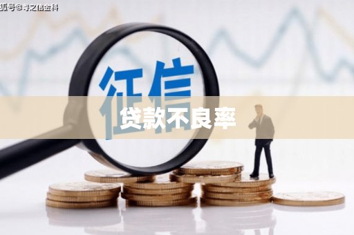 峨眉贷款不良率