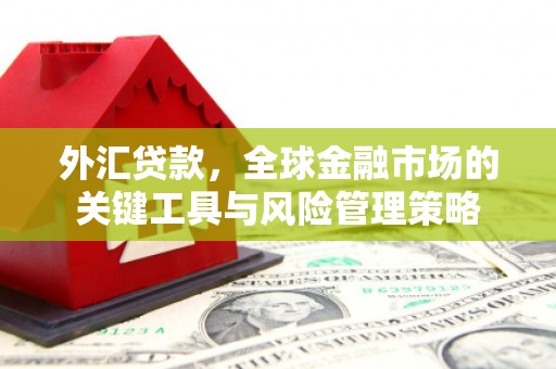 峨眉外汇贷款，全球金融市场的关键工具与风险管理策略