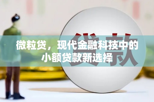 峨眉微粒贷，现代金融科技中的小额贷款新选择