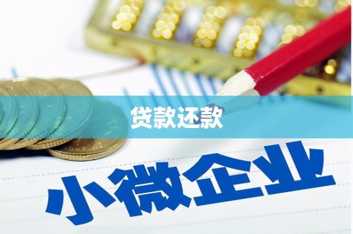 峨眉贷款还款