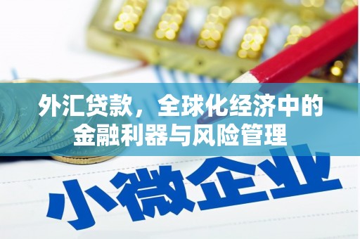 峨眉外汇贷款，全球化经济中的金融利器与风险管理