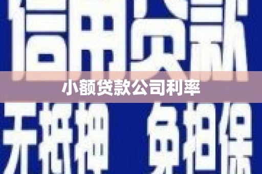 峨眉小额贷款公司利率
