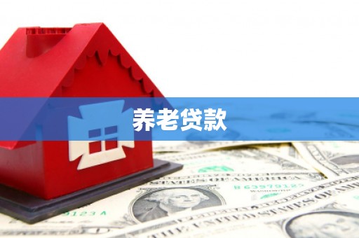 峨眉养老贷款