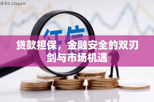 峨眉贷款担保，金融安全的双刃剑与市场机遇