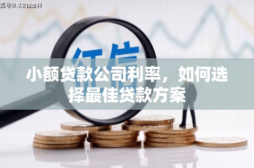 峨眉小额贷款公司利率，如何选择最佳贷款方案