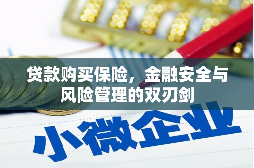 峨眉贷款购买保险，金融安全与风险管理的双刃剑