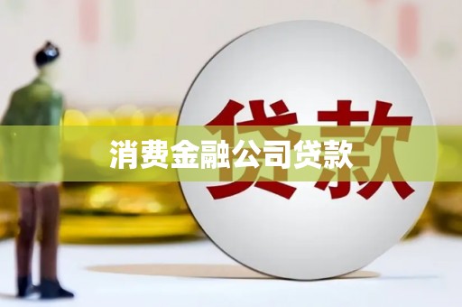 峨眉消费金融公司贷款