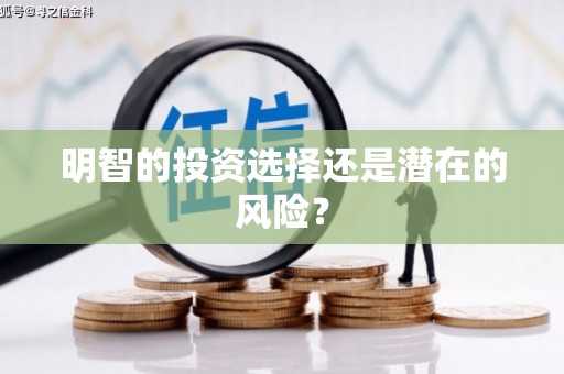 峨眉明智的投资选择还是潜在的风险？