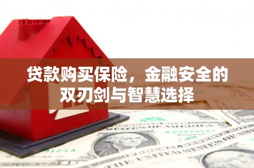 峨眉贷款购买保险，金融安全的双刃剑与智慧选择