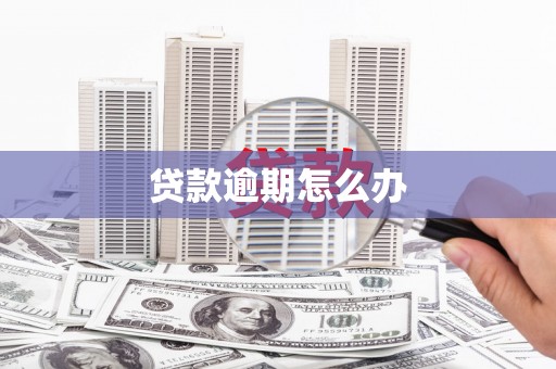 峨眉贷款逾期怎么办