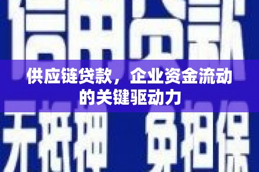 峨眉供应链贷款，企业资金流动的关键驱动力