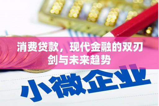 峨眉消费贷款，现代金融的双刃剑与未来趋势