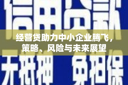 峨眉经营贷助力中小企业腾飞，策略、风险与未来展望