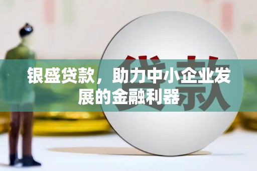 峨眉银盛贷款，助力中小企业发展的金融利器